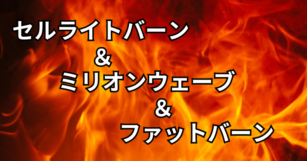 施術解説