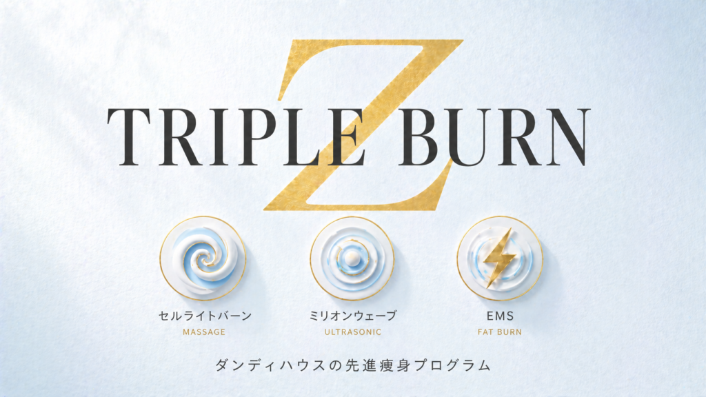 トリプルバーンZとは