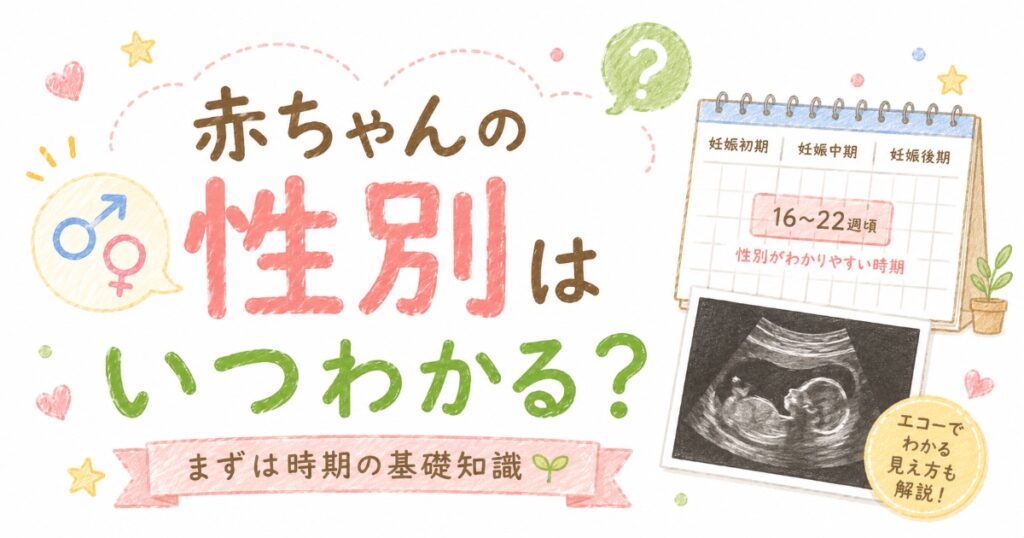 性別はいつわかる？