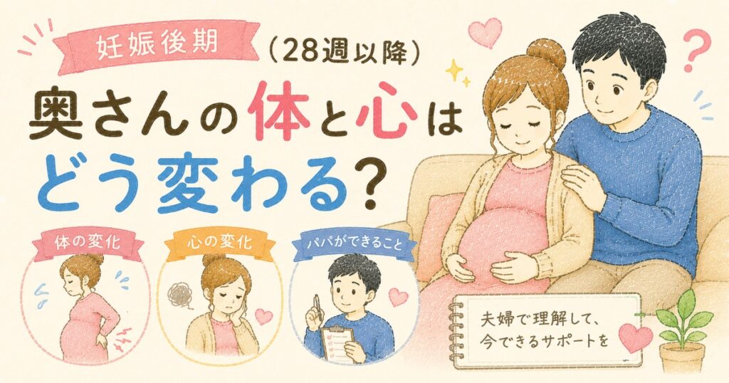 28週目からどう変わる?