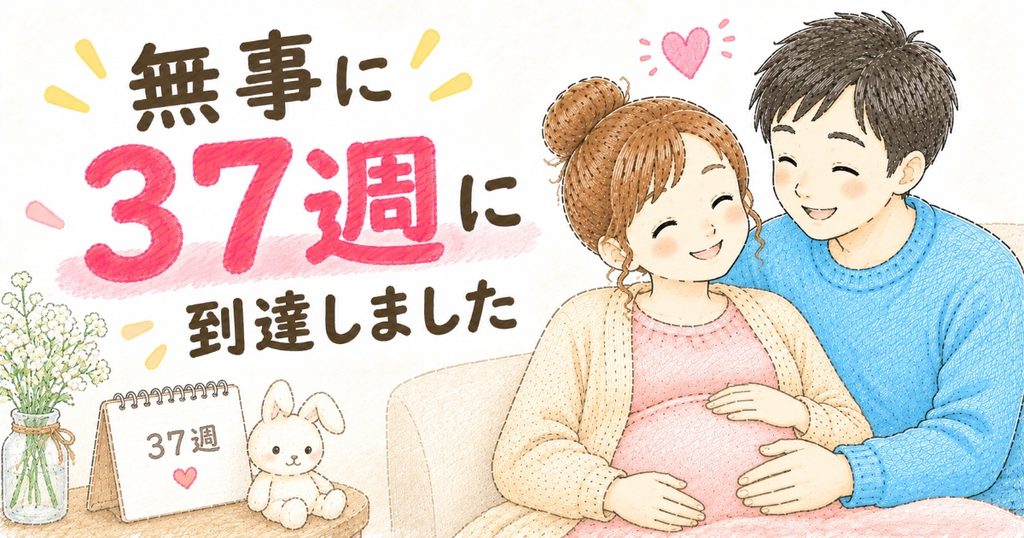 37週目