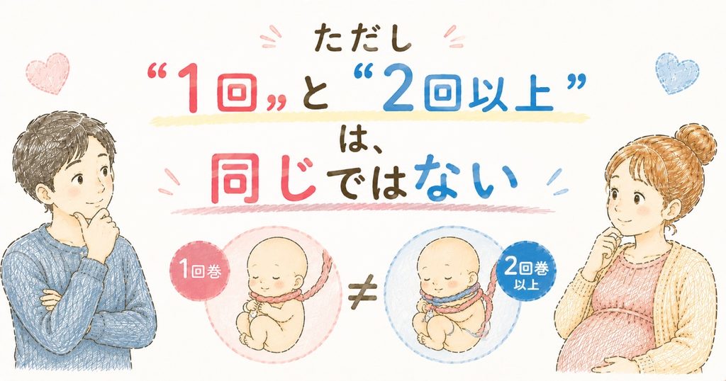 1~2回巻き