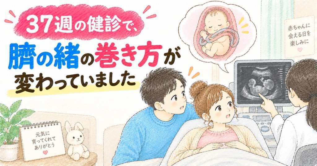 臍の緒